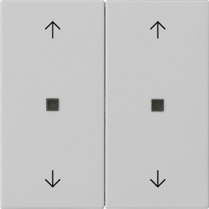 GIRA Wippe 2f Pfeile  5386015