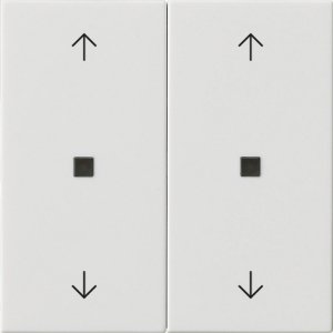 GIRA Wippe 2f Pfeile  538603