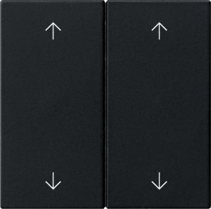 GIRA Wippe 2f Pfeile  5387005