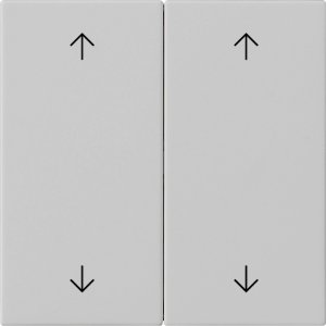 GIRA Wippe 2f Pfeile  5387015