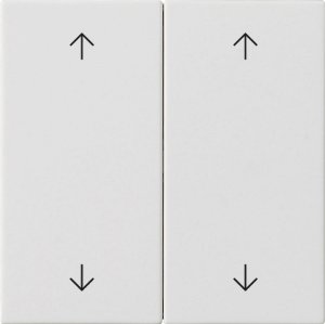 GIRA Wippe 2f Pfeile  538727