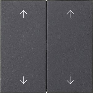 GIRA Wippe 2f Pfeile  538728