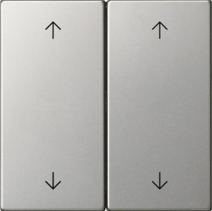 GIRA Wippe 2f Pfeile  5387600