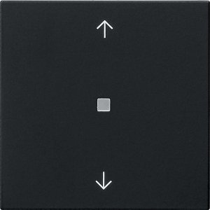 GIRA Wippe 1f Pfeile  5388005