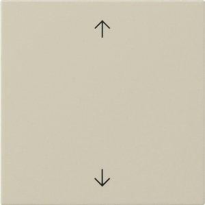 GIRA Wippe 1f Pfeile  538901