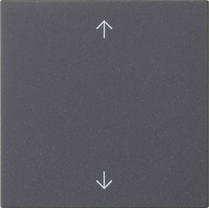 GIRA Wippe 1f Pfeile  538928