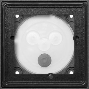 GIRA Gehäuse 1f System 106 551100