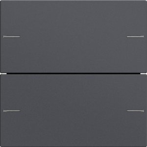 GIRA Wippenset 2f Tastsens. 575228