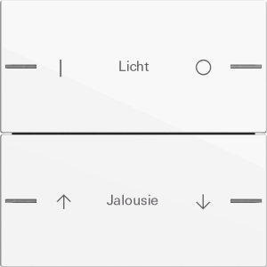 GIRA Wippenset 2f indiv. Tastsens 576203