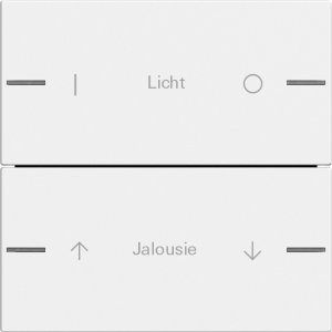 GIRA Wippenset 2f indiv. Tastsens 576227