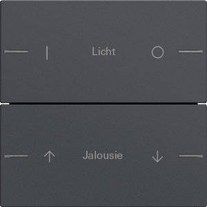 GIRA Wippenset 2f indiv. Tastsens 576228