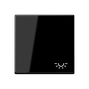 Jung A590LSW Wippe m. Symbol "Licht"