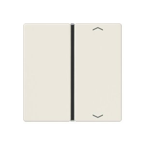Jung A401TSAP Taste 1fach, Pfeil