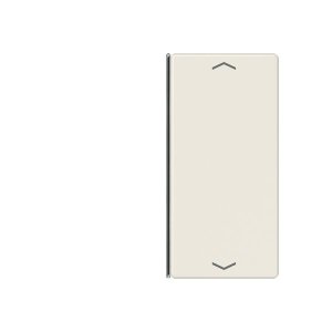 Jung A402TSAP Taste 2fach, Pfeil
