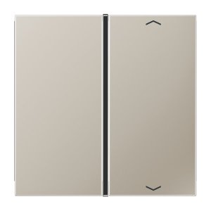 Jung ES2401TSAP Taste 1fach, Pfeil