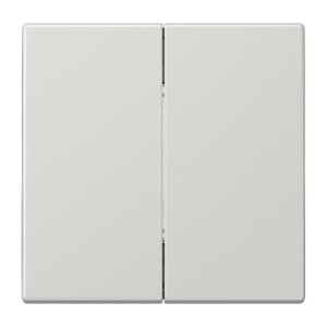 Jung ENOLS995LG ENO Funk Wandsender 4 kanal