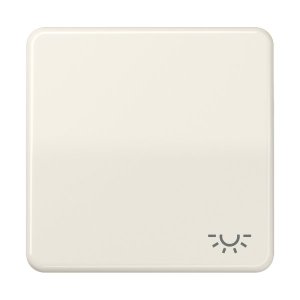 Jung CD590L Wippe m. Symbol "Licht"