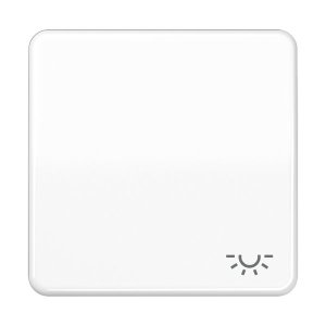 Jung CD590LWW Wippe m. Symbol "Licht"