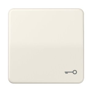 Jung CD590T Wippe m. Symbol "Tuer"