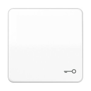 Jung CD590TWW Wippe m. Symbol "Tuer"