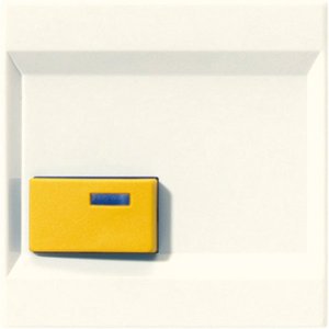 Jung LS642D Abdeckung f. Ackermann