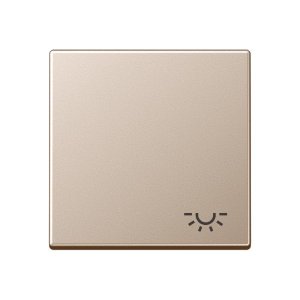 Jung A590LCH Wippe m. Symbol "Licht"