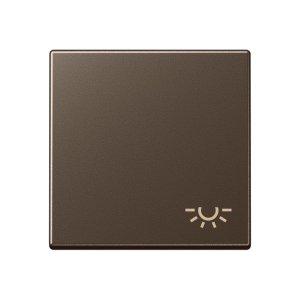 Jung A590LMO Wippe m. Symbol "Licht"