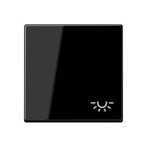 Jung Wippe m. Symbol Licht A590BFLSW