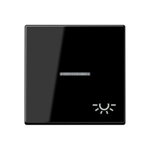 Jung Wippe m. Symbol Licht A590BFKO5LSW