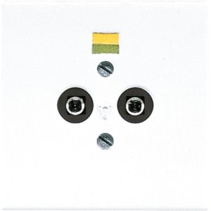 Jung LS965-2WW Potentialausgleich-Steckdos