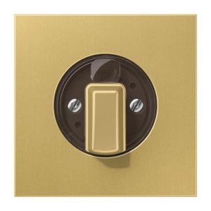 Jung Abdeckung f. Drehschalter ME1941C