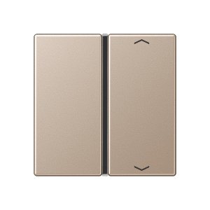 Jung A401TSAPCH Taste 1fach, Pfeil