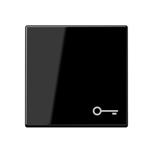 Jung Wippe m. Symbol T r A590BFTSW