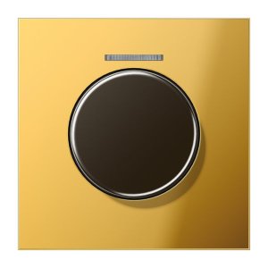 Jung Abd.m.Lichtleiter f.KNX GO1940KO5