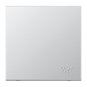 Jung Wippe m. Symbol Licht gepr AL2990LP