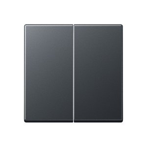 Jung Wippe f. Serienschalter A595BFANM