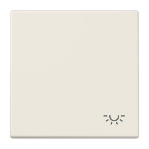 Jung LS990L Wippe m. Symbol "Licht"