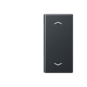 Jung Taste 2-fach Pfeil A402TSAPANM