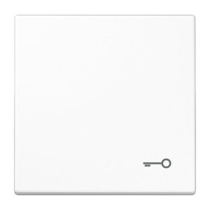 Jung LS990TWW Wippe m. Symbol "Tuer"