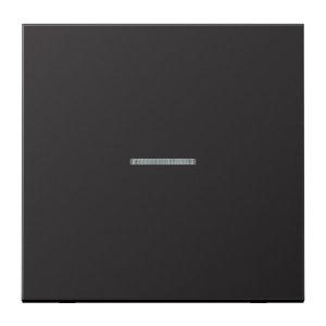 Jung Wippe f. Schalter/Taster AL2990KO5D