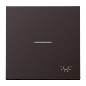 Jung Wippe m. Symbol Licht AL2990KO5LD