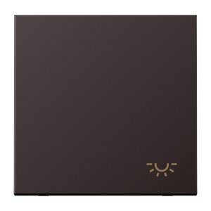 Jung Wippe m. Symbol Licht AL2990LD