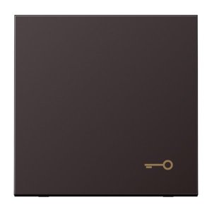 Jung Wippe m. Symbol Tuer AL2990TD