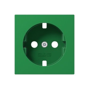 Jung Zentralplatte SCHUKO A1520BFPLGN