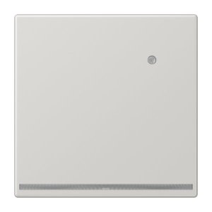 Jung LED-Orientierungslich LS1539-OLGLNW
