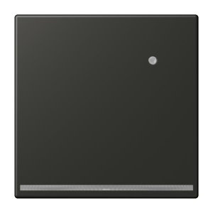 Jung LED-Orientierungslich AL1539-OANLNW