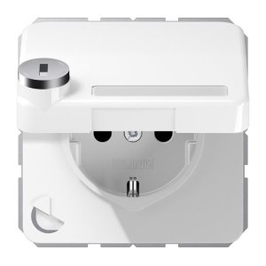 Jung SCHUKO Steckd.m.Klap CD1520NAKLSLWW