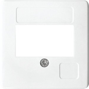 Jung Abdeckung für TAE-Anschlussd 169TWW