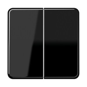 Jung Steuertaste 2-fach Standar CD1702SW
