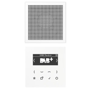Jung Smart Radio DAB+, Display DABLS1WW